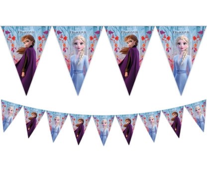 Frozen 2 Flag Banner 1ct