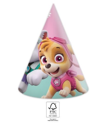 Skye & Everest Party Hats 6ct