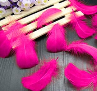 Goose Coquille Feathers - Shocking Pink - 3-5 " - 35g
