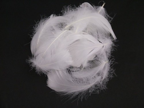 Goose Coquille Feathers - White - 3-5 " - 35g