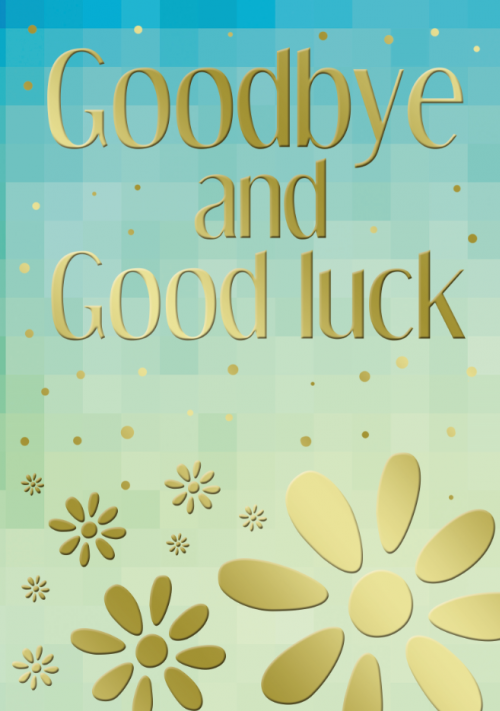 Goodbye and Good Luck - Pack Of 12