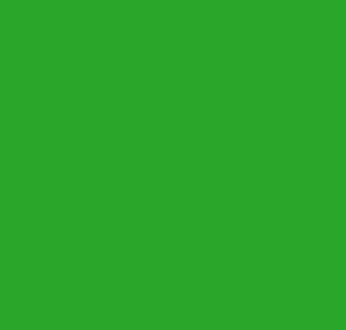 Bright Green L Range Gloss Vinyl 5m - 305mm Roll