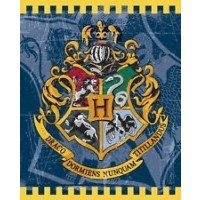 Harry Potter Loot Bags 8ct