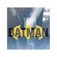 Batman Napkins 16ct