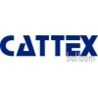 Cattex Fashion Metallic 12