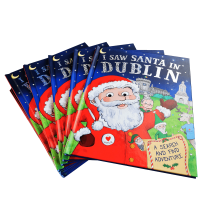 I Saw Santa In Dublin Hardcover Storybook