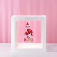 Girl Elf Im Back Transparent Balloon Box 30x30x30cm Limited Edition