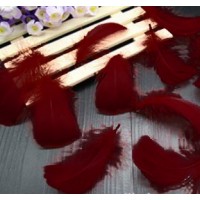 Goose Coquille Feathers - Burgundy- 3-5 " - 35g