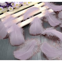 Goose Coquille Feathers - Lilac - 3-5 " - 35g