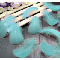 Goose Coquille Feathers - Powder Blue - 3-5 " - 35g