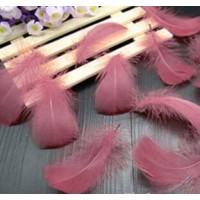Goose Coquille Feathers - Rose Gold - 3-5 " - 35g