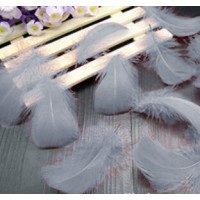 Goose Coquille Feathers - Silver Grey - 3-5 " - 35g