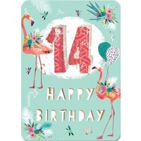 Age 14 - Girl - Pack Of 12
