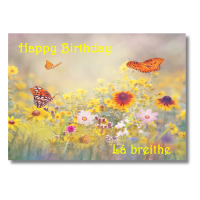 Happy Birthday Flutter By - Pack Of 6