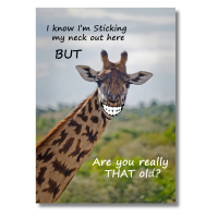 Birthday Giraffe - Pack Of 6