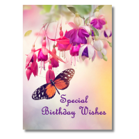 Birthday Wishes Butterfly & Fuchsia - Pack Of 6