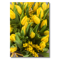 Mimosa &Tulips (Blank inside) - Pack Of 6