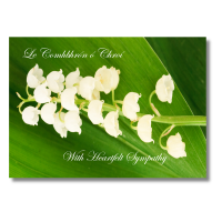 White on Green Sympathy - Pack Of 6