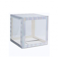 Iridescent Blank Transparent Balloon Boxes 30x30x30cm Pack of 4
