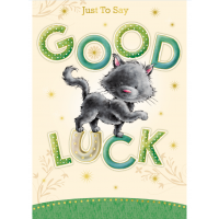 Goodbye and Good Luck - Pack Of 12