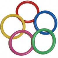 Assorted Colours Plastic Bangle Weights (100ct)