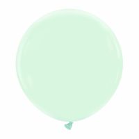 Mint Cream Premium Cattex 24" Latex Balloons 1Ct