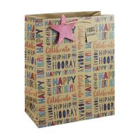 Hip Hop Hooray Kraft Large Gift Bags 6ct