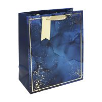 Blue Marble Large Gift Bag 6ct