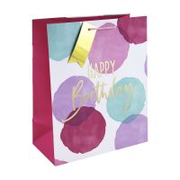 Pink Wcolour Hbday Large Gift Bag 6ct