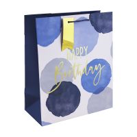 Blue Wcolour Hbday Large Gift Bag 6ct