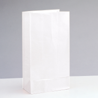Paper Party Bag White 12ct