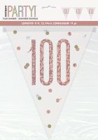 Rose Gold Glitz Age 100 Prism Flag Banner 9ft