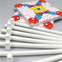 Professional Balloon Arch 6m