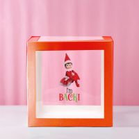 Girl Elf Im Back Transparent Balloon Box 30x30x30cm Limited Edition