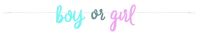 Gender Reveal Party 7ft Paper Banner