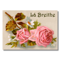 Birthday Pink Rose - Pack Of 6