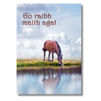 Thanks Capall - Pack Of 6