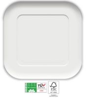 COMPOSTABLE Square Paper Plates 23x23cm FSC  10ct