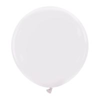 Wisteria Premium Cattex 24" Latex Balloons 1Ct