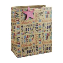 Hip Hop Hooray Kraft Large Gift Bags 6ct