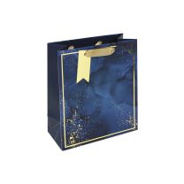 Blue Marble Medium Gift Bag 6ct