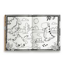 Dinosaur Colouring Book