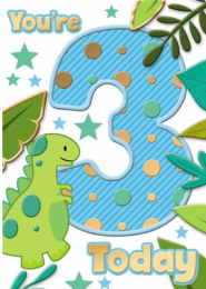 Age 3 - Boy - Pack Of 12