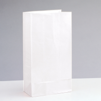 Paper Party Bag White 12ct