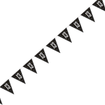 Black/Silver Glitz Age 13 Prism Flag Banner 9ft