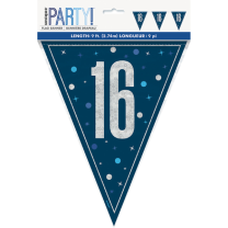 Blue/Silver Glitz Foil Prism Age 16 Flag Banner 9FT
