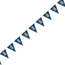 Blue/Silver Glitz Foil Prism Age 16 Flag Banner 9FT