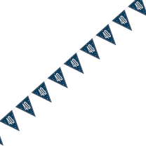 Blue/Silver Glitz Foil Prism Age 40 Flag Banner 9FT