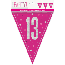 Pink/Silver Glitz Foil Prism Age 13 Flag Banner 9FT