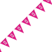 Pink/Silver Glitz Foil Prism Age 13 Flag Banner 9FT